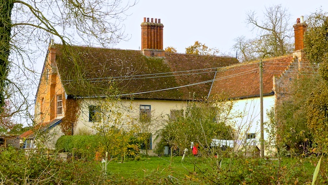 Stacks Image 15